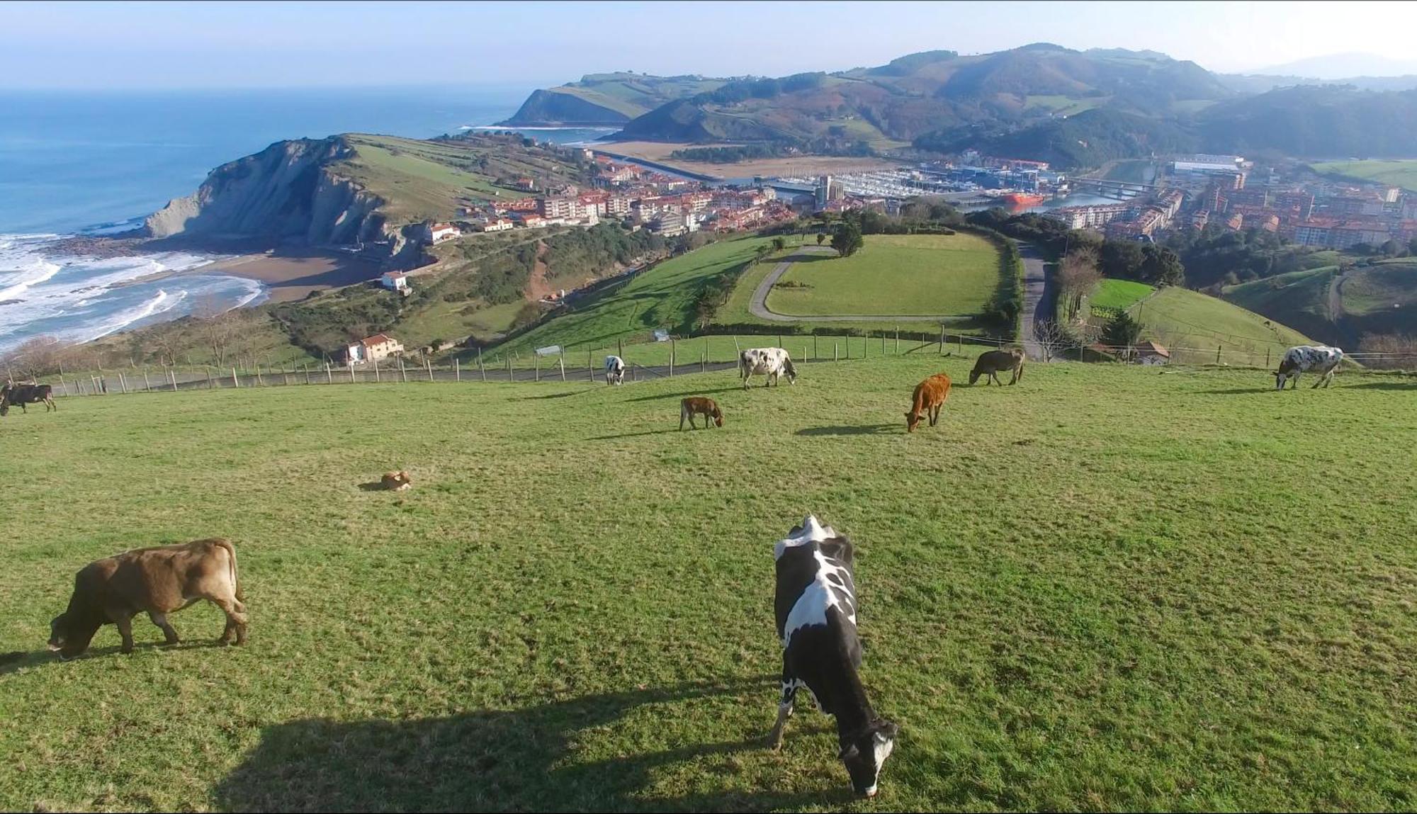 San Jose - Ongi Etorri Apartamento Zumaia Exterior foto